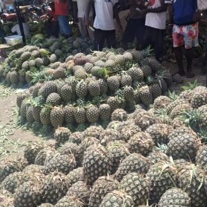 Ananas a Malindi