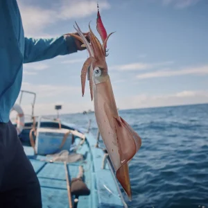 Battuta di Pesca Calamaro