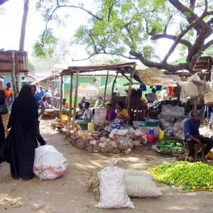 Mercato a Malindi